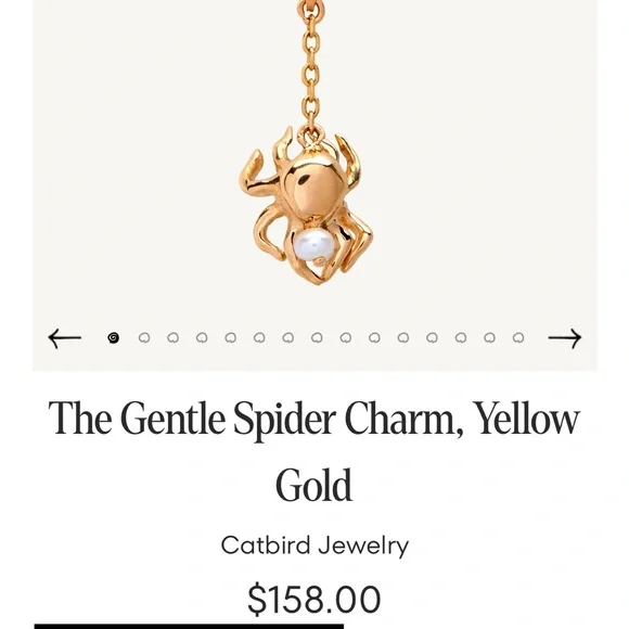 Catbird spider charm - Picture 3 of 4